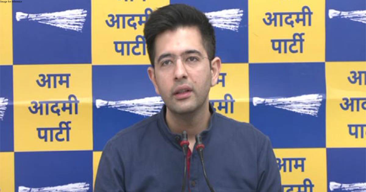 Central agencies do not want Sisodia to come out of jail: AAP MP Raghav Chadha